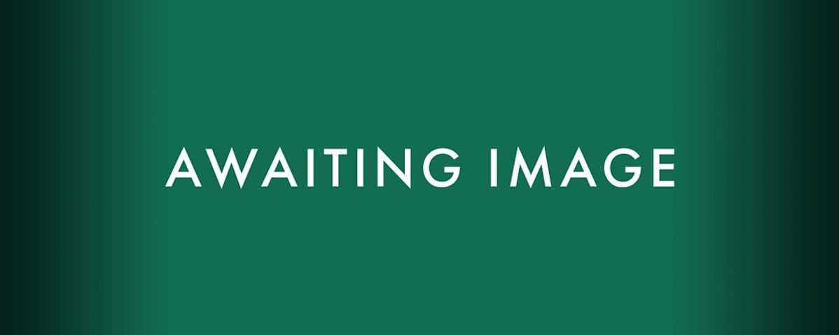 Awaiting Image